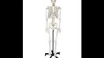 medical_model_new_b7u