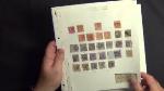 superb_unmounted_mint_xnc